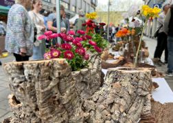 Ein Hoelzernes Erlebnis In Jena Zog Tausende Besucher 21